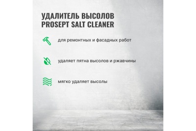 Удалитель высолов PROSEPT SALT CLEANER 1л